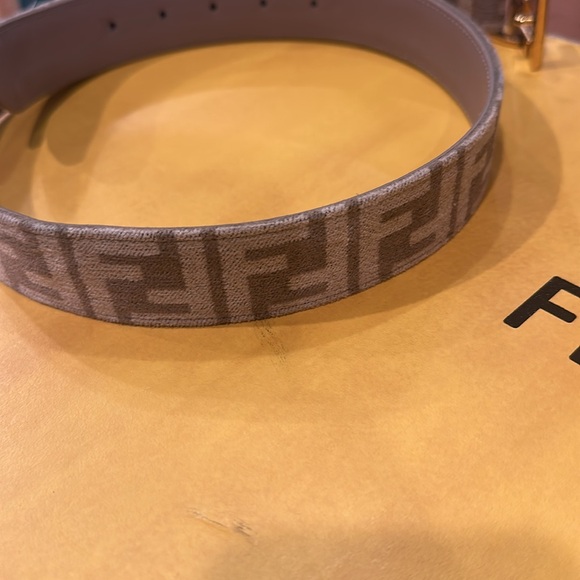 Fendi Brown and Gold women Belt Bag - Picture 11 of 17